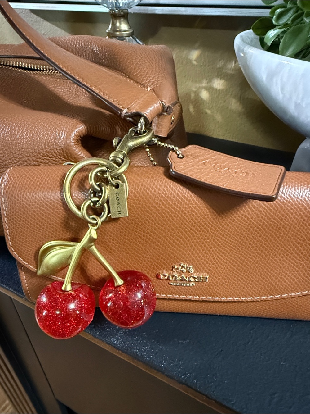 Coach Purse ๐ Charm & Wallet Set - Picture 5 of 10